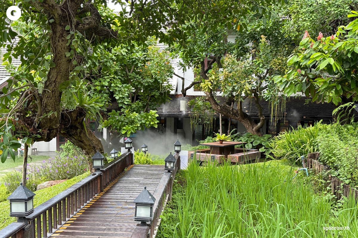 Visa-free-entry-cancelled-The-challenge-for-tourism-in-Chiang Mai-SPACEBAR-Photo06.jpg