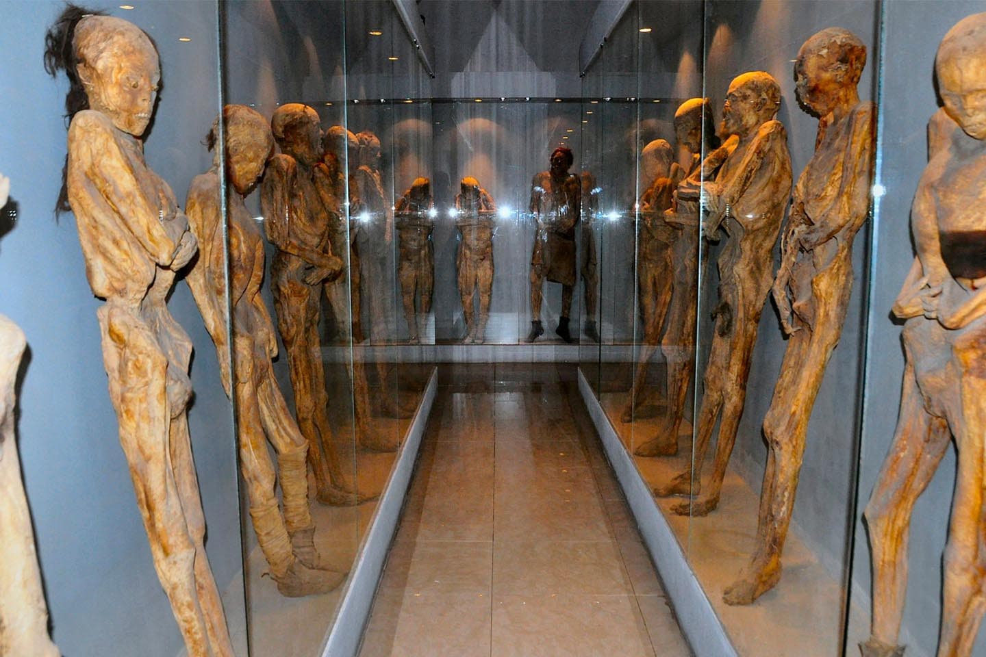 5_weirdest_museum_in_the_world_SPACEBAR_Main_5ebbc9675f.jpeg