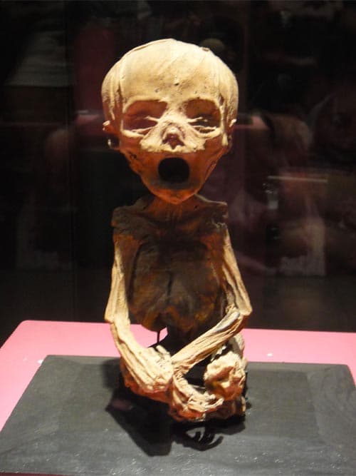 5_weirdest_museum_in_the_world_SPACEBAR_Photo01_cfbfc77b2a.jpeg