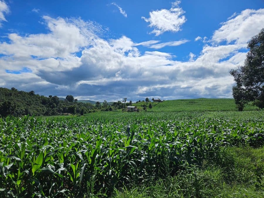 BG008.jpg