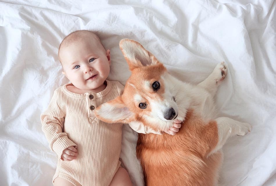 Babies_With_Pets_less_Develop_Food_Allergies_SPACEBAR_Thumbnail_0179321dda.jpeg