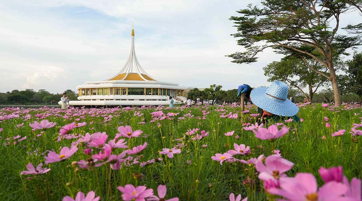 Beautiful_Flowers_Suan_Luang_Rama_9_2022_SPACEBAR_Hero_267a911063.jpeg
