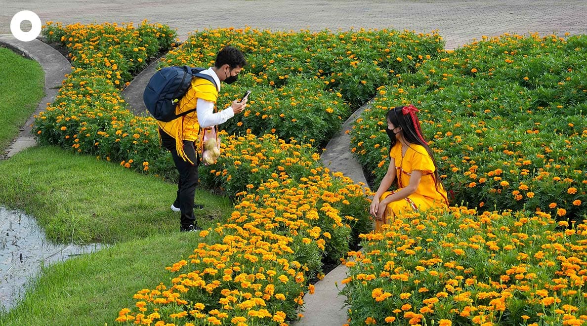 Beautiful_Flowers_Suan_Luang_Rama_9_2022_SPACEBAR_Photo01_9d4da82b62.jpeg