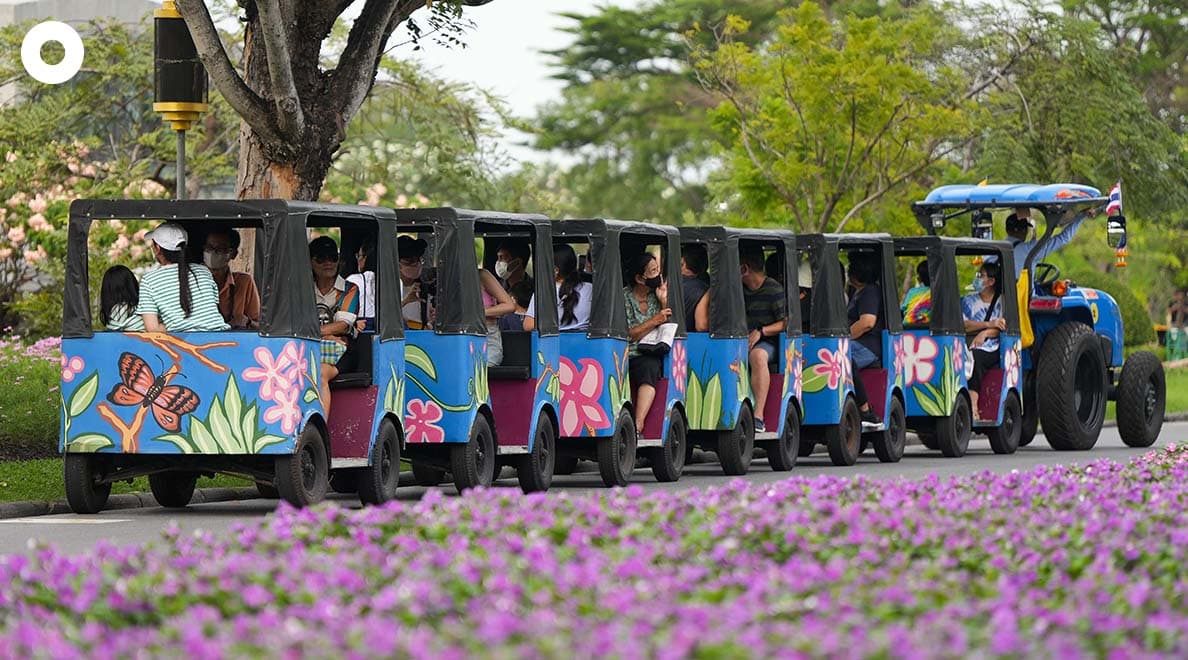 Beautiful_Flowers_Suan_Luang_Rama_9_2022_SPACEBAR_Photo05_75f83d835d.jpeg
