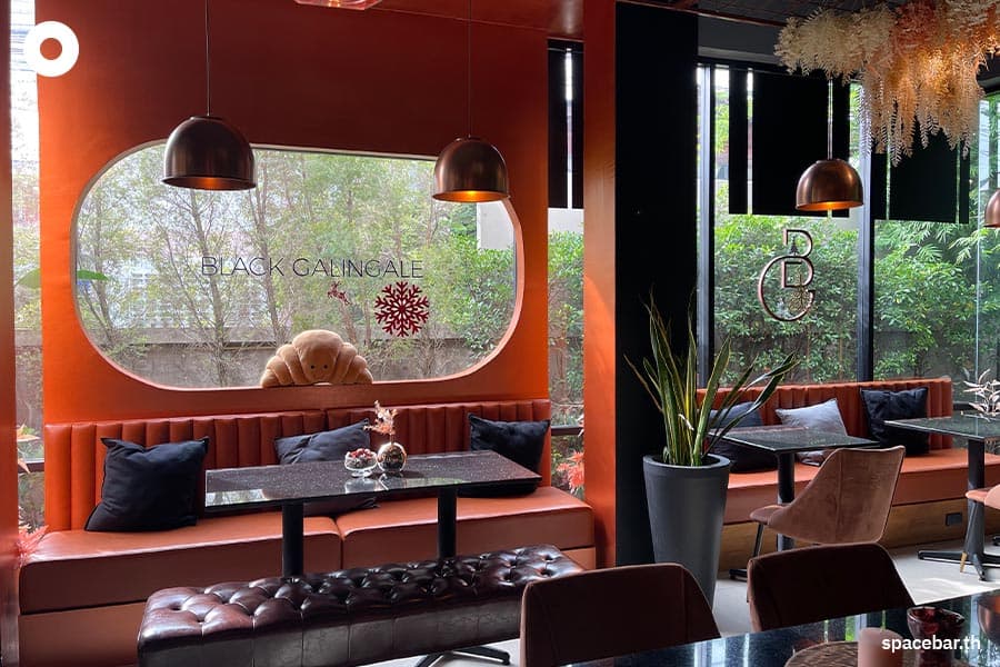 Cafe_hopping_Black_Galingale_SPACEBAR_Photo07_378c4b99a8.jpeg