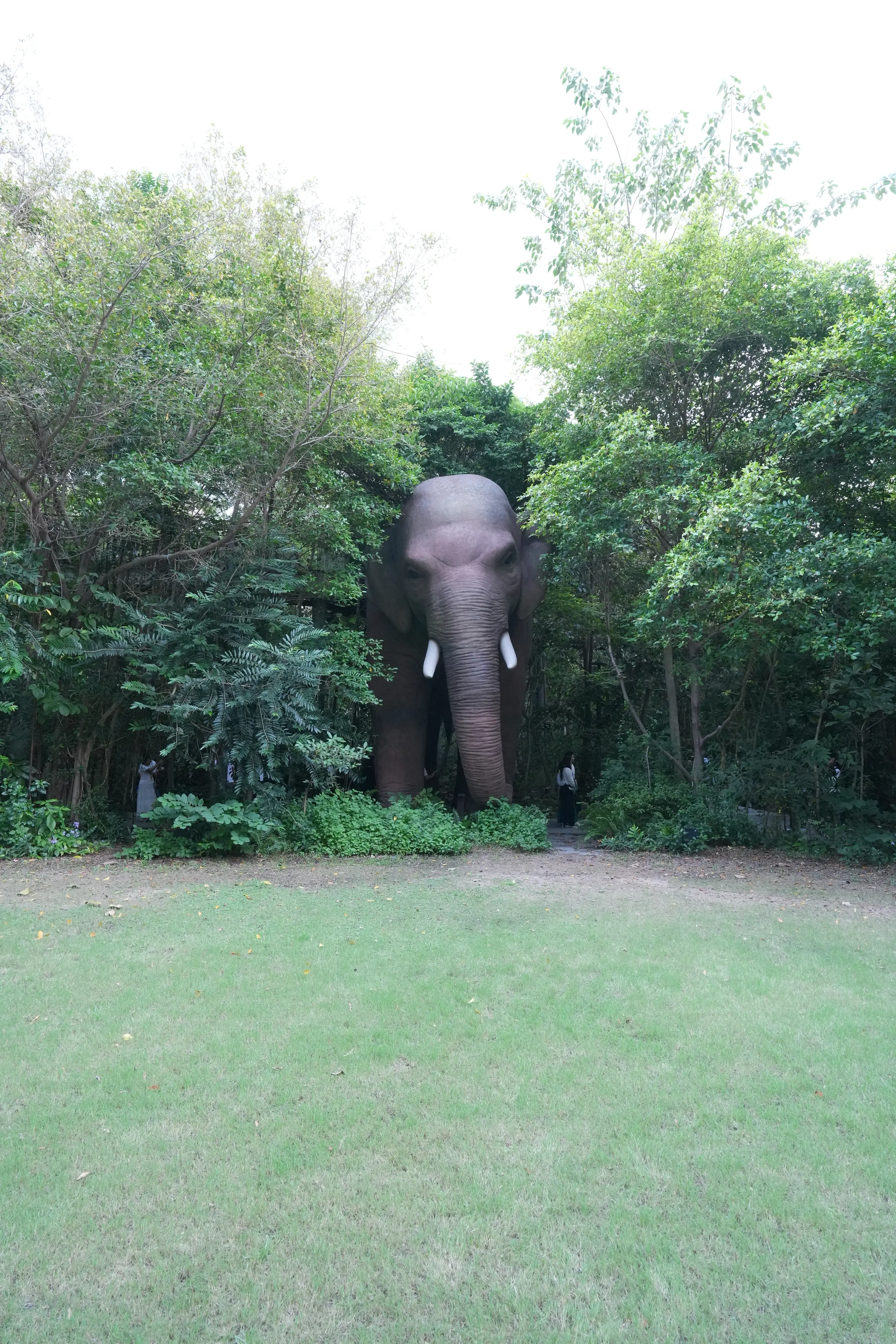 The Forestias  ป่าเล็กในเมืองใหญ่ ตามวิธี‘อากิระ มิยาวากิ’ ชายผู้ปลูกต้นไม้ 40 ล้านต้น