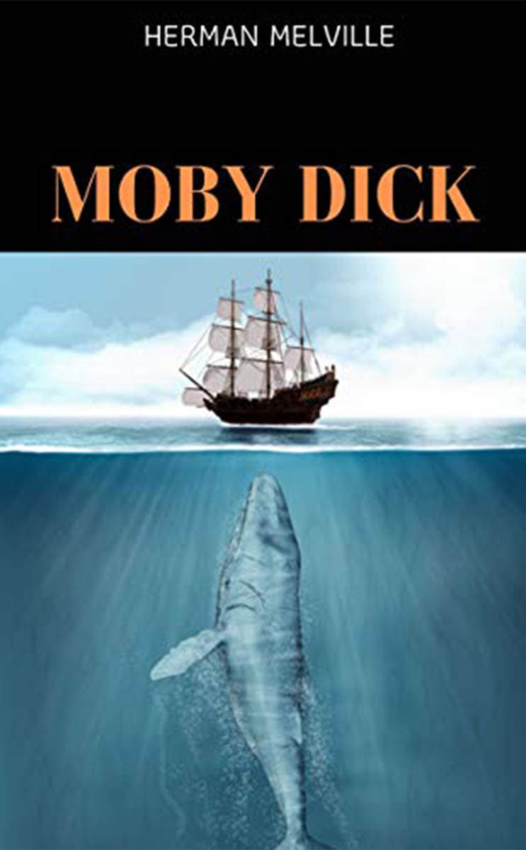 EDIT_space_review_the_whale_SPACEBAR_Photo04_97f88eb867.jpeg