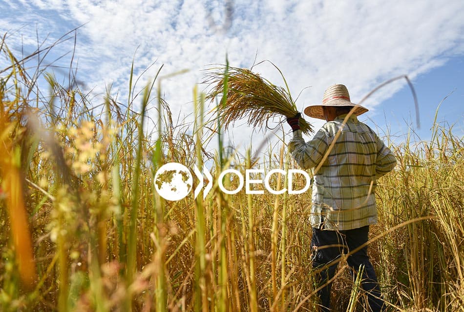 ยกระดับเกษตร เจาะลึกข้อดี-ข้อเสีย  เมื่อเข้า OECD บังคับให้เราต้องโต