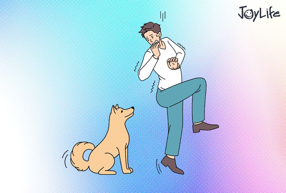 JOY_LIFE_Cynophobia_SPACEBAR_Thumbnail_fd23999222.jpeg