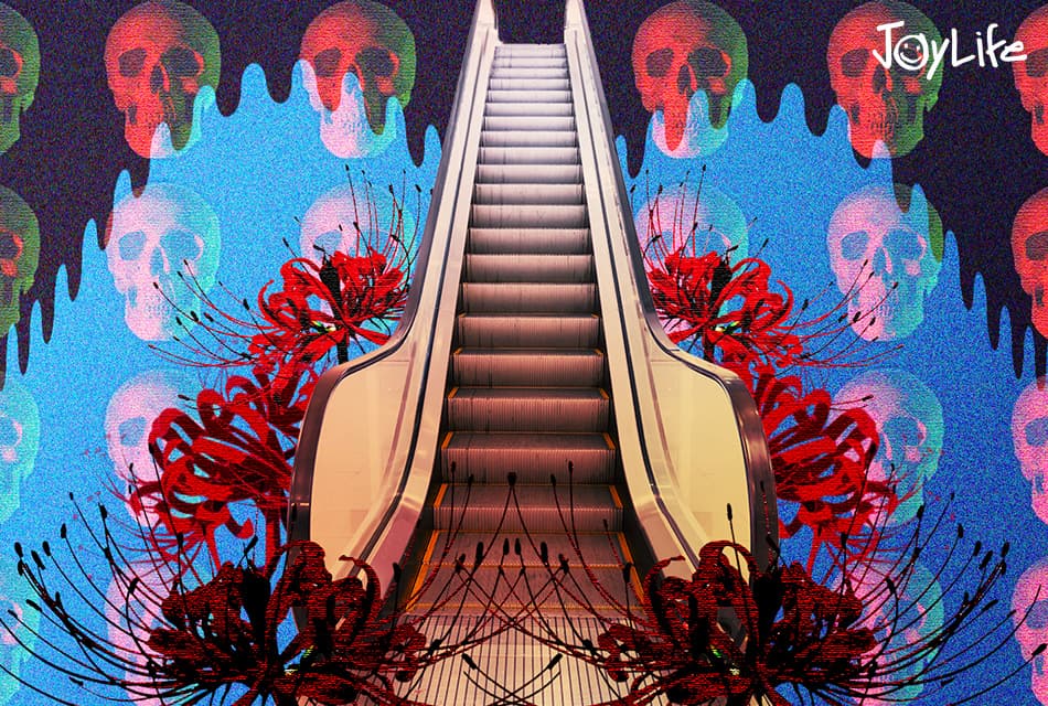 JOY_LIFE_Escalaphobia_SPACEBAR_Thumbnail_c9f5276d60.jpeg