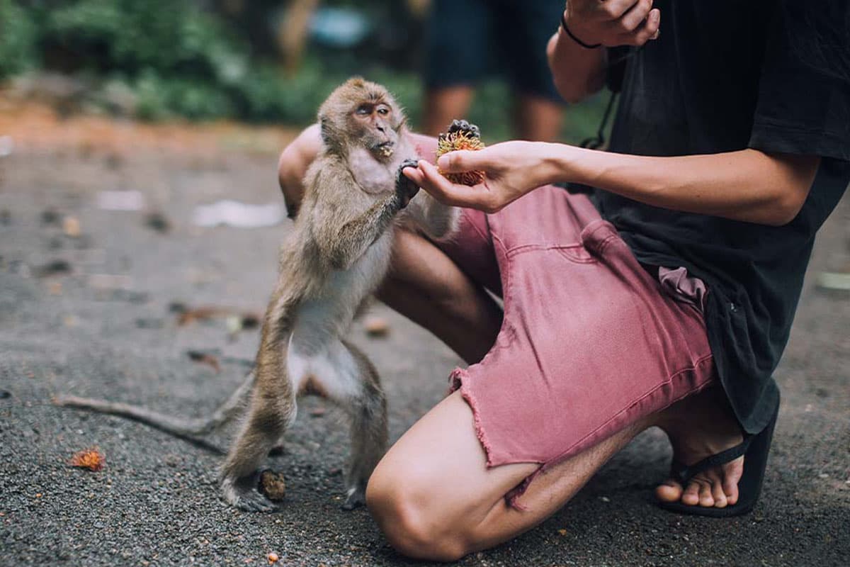 JOY_LIFE_how_to_prevent_monkeypox_virus_SPACEBAR_Photo01_1b4aecf970.jpeg