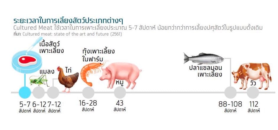 Krungthai_COMPASS_Cultured_meat_Food_Tech_SPACEBAR_Photo02_399d197301.jpeg