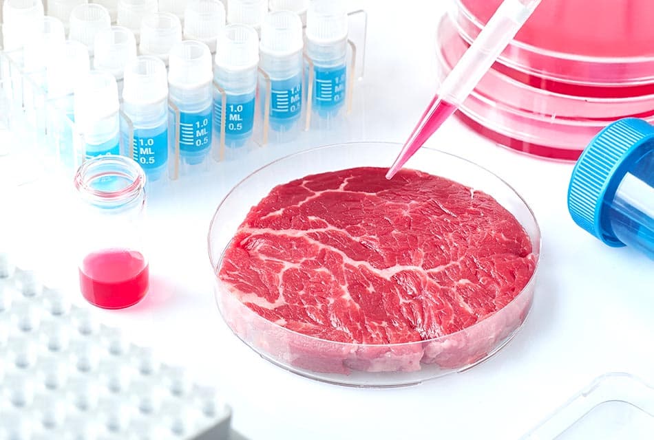 Krungthai_COMPASS_Cultured_meat_Food_Tech_SPACEBAR_Thumbnail_2f0249c8ad.jpeg