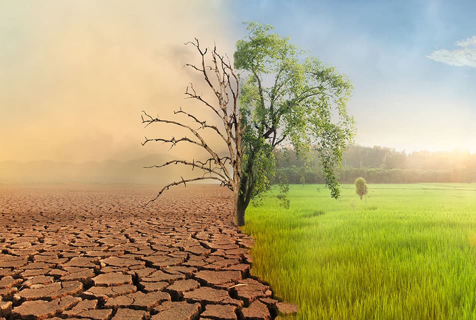 Krungthai_Compass_Climate_Risk_SPACEBAR_Thumbnail_cd4c9d2a7e.jpeg