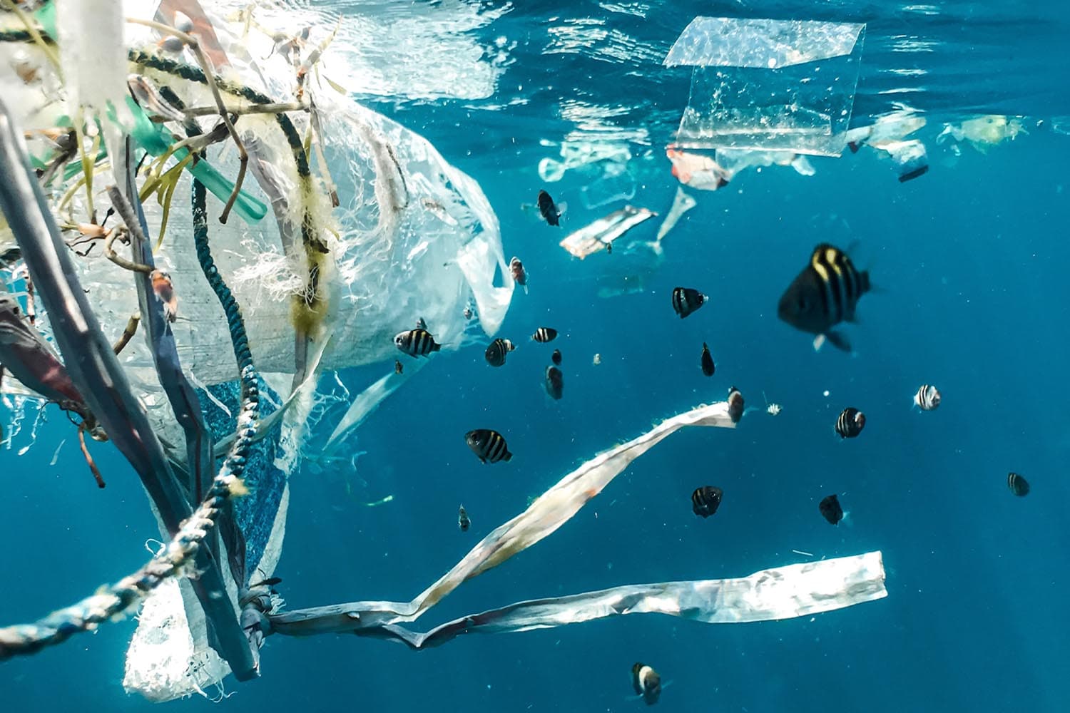 Oceans_littered_with_171_trillion_plastic_pieces_SPACEBAR_Hero_ec9f178888.jpeg