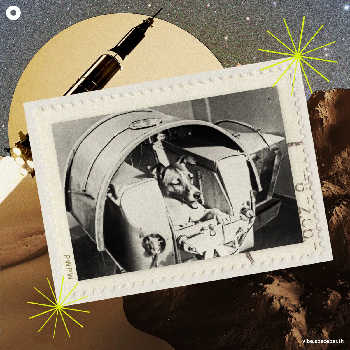 On_This_Day_Laika_The_Dog_From_Earth_To_Space_SPACEBAR_Photo_SQ_04_ccc17950b8.jpg