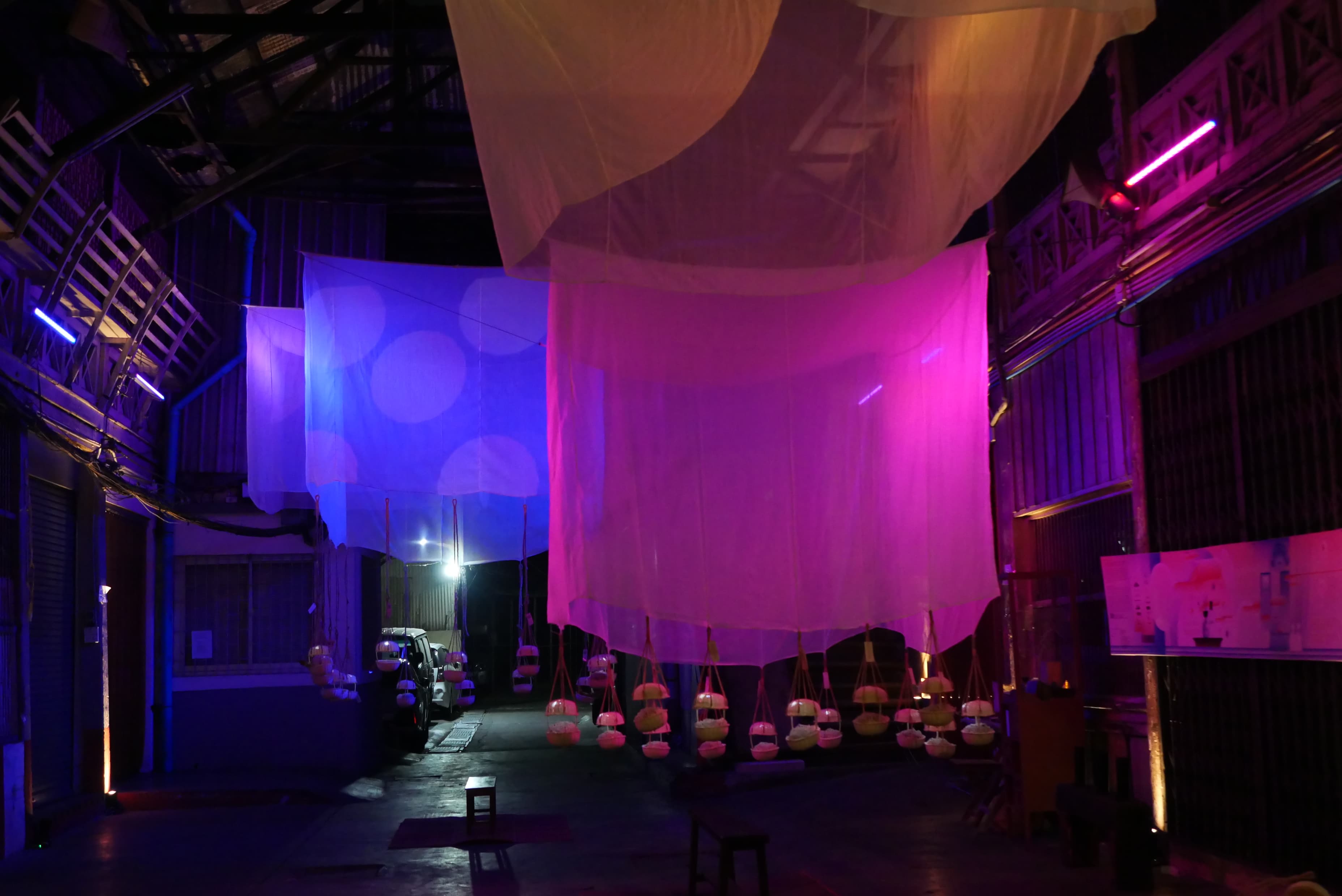 P1174503_3a1a63a5b5.JPG