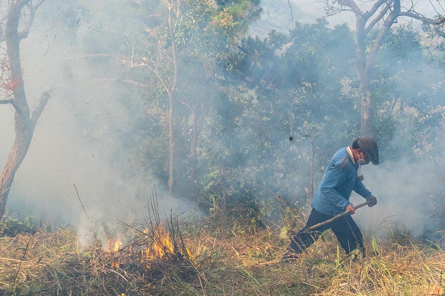 PM_25_Teresa_Teng_chiangmai_pollution_SPACEBAR_Photo04_481d9ee59a.jpeg