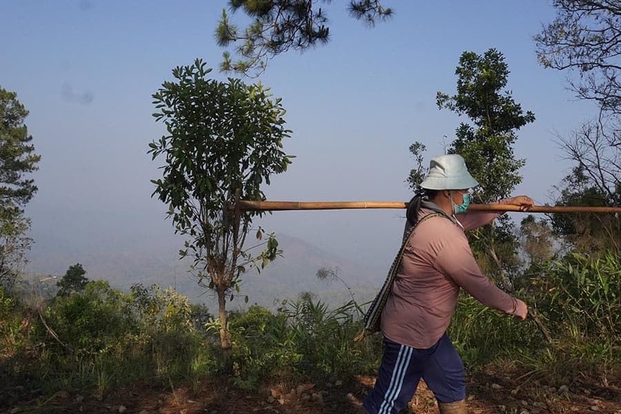 PM_25_Teresa_Teng_chiangmai_pollution_SPACEBAR_Photo16_f72d2d37c1.jpeg