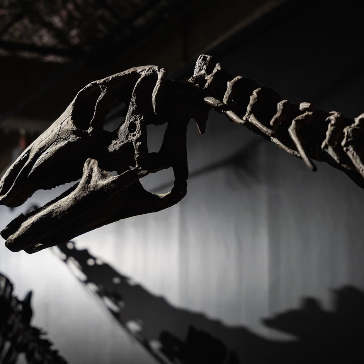 PR-Photo-Story-Thainosaur-event-SPACEBAR-Photo_SQ04.jpg