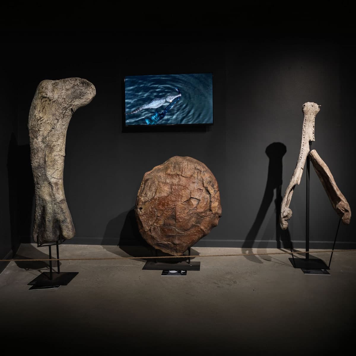 PR-Photo-Story-Thainosaur-event-SPACEBAR-Photo_SQ05.jpg