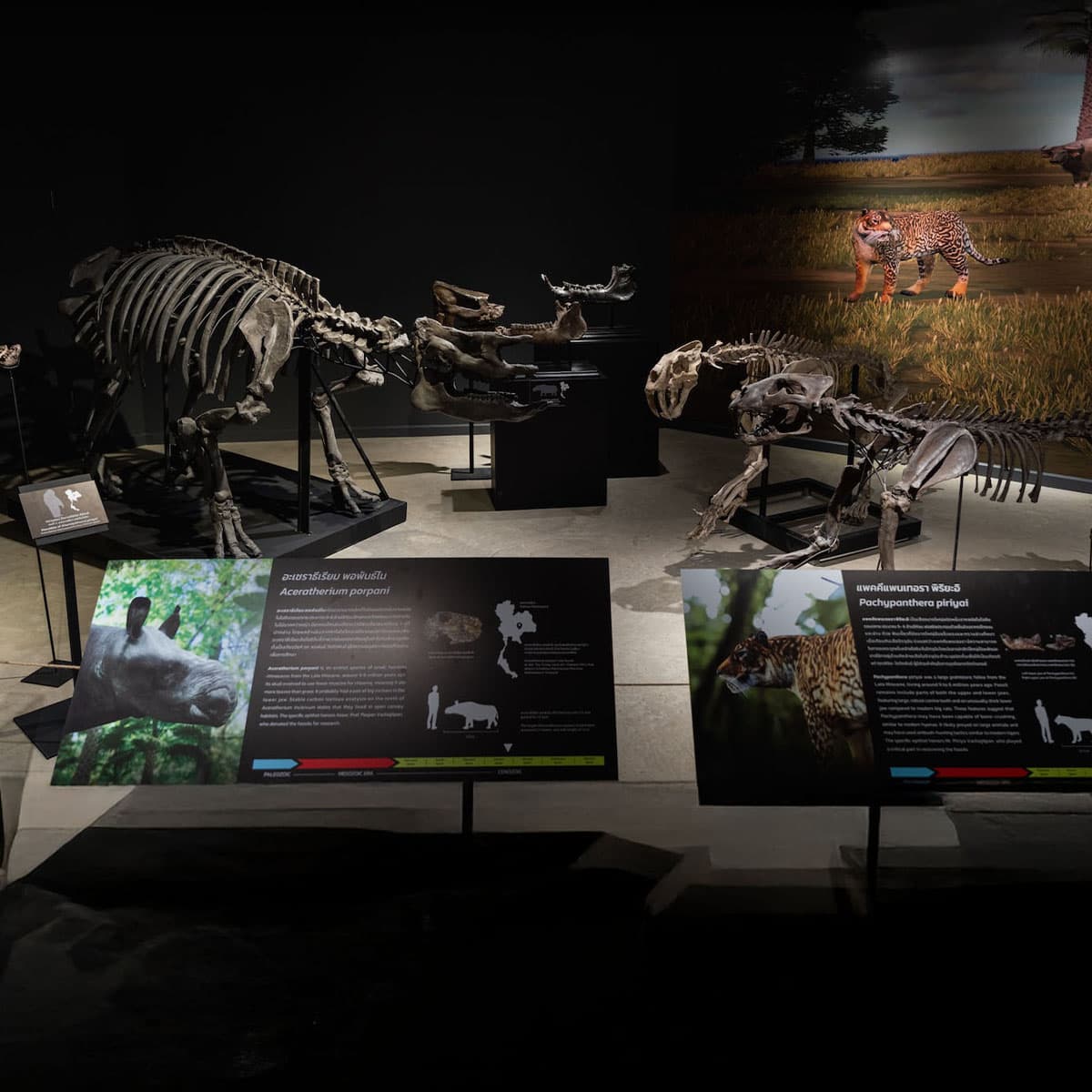 PR-Photo-Story-Thainosaur-event-SPACEBAR-Photo_SQ07.jpg