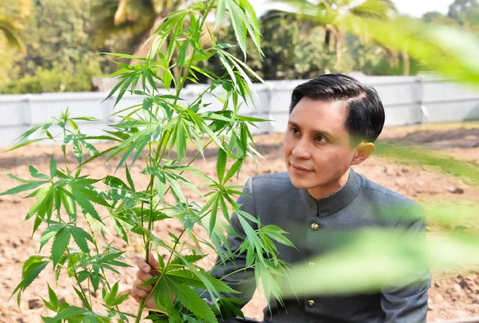 Panthep_clarifies_against_Chuvit_about_marijuana_SPACEBAR_Thumbnail_aac0aad76d.jpeg