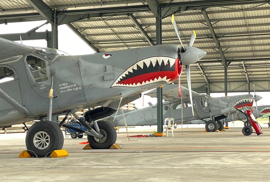 Peacemaker_50_Anniversary_RTAF_SPACEBAR_Thumbnail_2881293017.jpeg