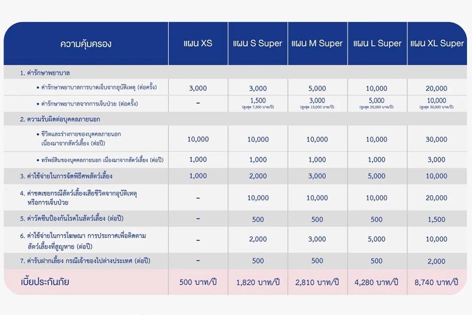 Pet_Insurance_Thailand_2022_SPACEBAR_Photo01_6141bf4020.jpeg