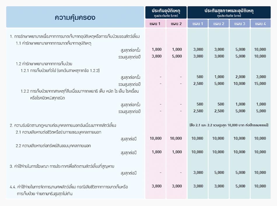 Pet_Insurance_Thailand_2022_SPACEBAR_Photo04_0c84afef8d.jpeg