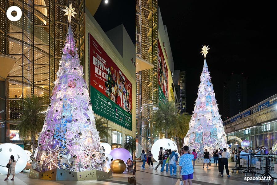 Photo_Story_Christmas_Trees_2022_SPACEBAR_Photo04_2522aab01e.jpeg
