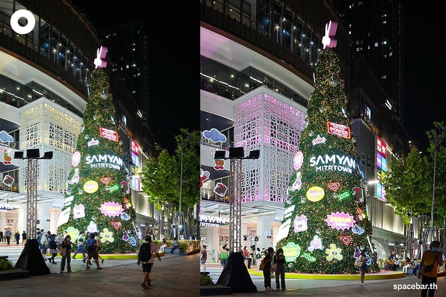 Photo_Story_Christmas_Trees_2022_SPACEBAR_Photo06_79634e07bf.jpeg