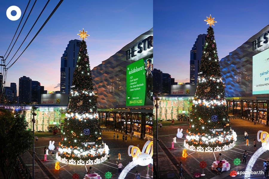 Photo_Story_Christmas_Trees_2022_SPACEBAR_Photo07_a7e423e6a3.jpeg