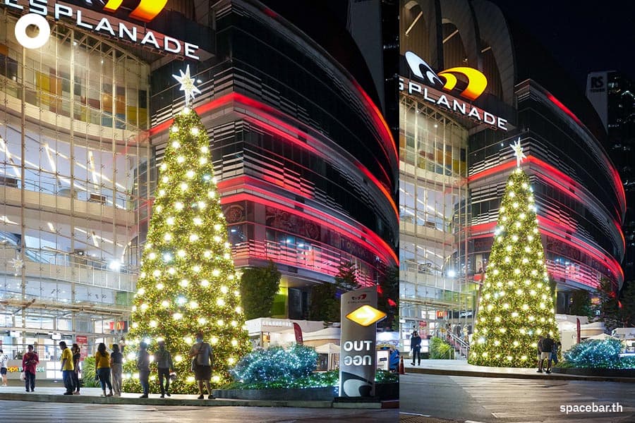 Photo_Story_Christmas_Trees_2022_SPACEBAR_Photo08_40c90ead6a.jpeg