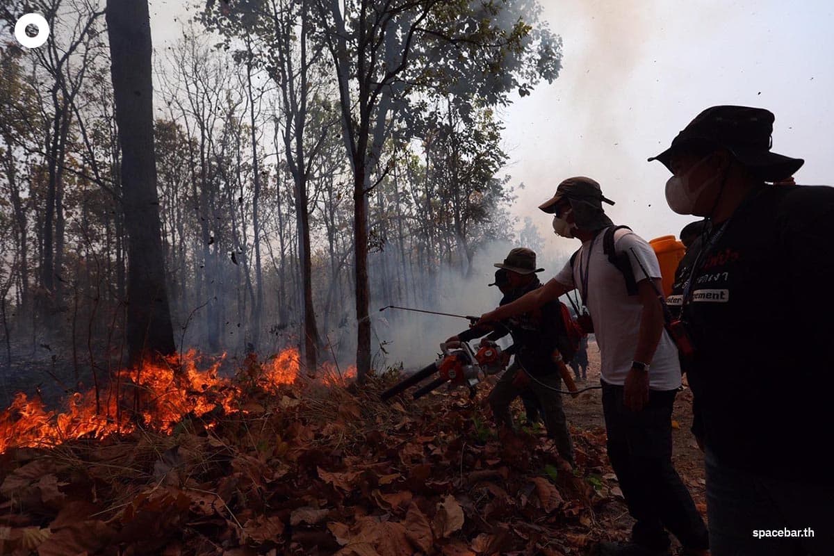 Pita_Forest_Fire_SPACEBAR_Photo00_d2399fc929.jpg