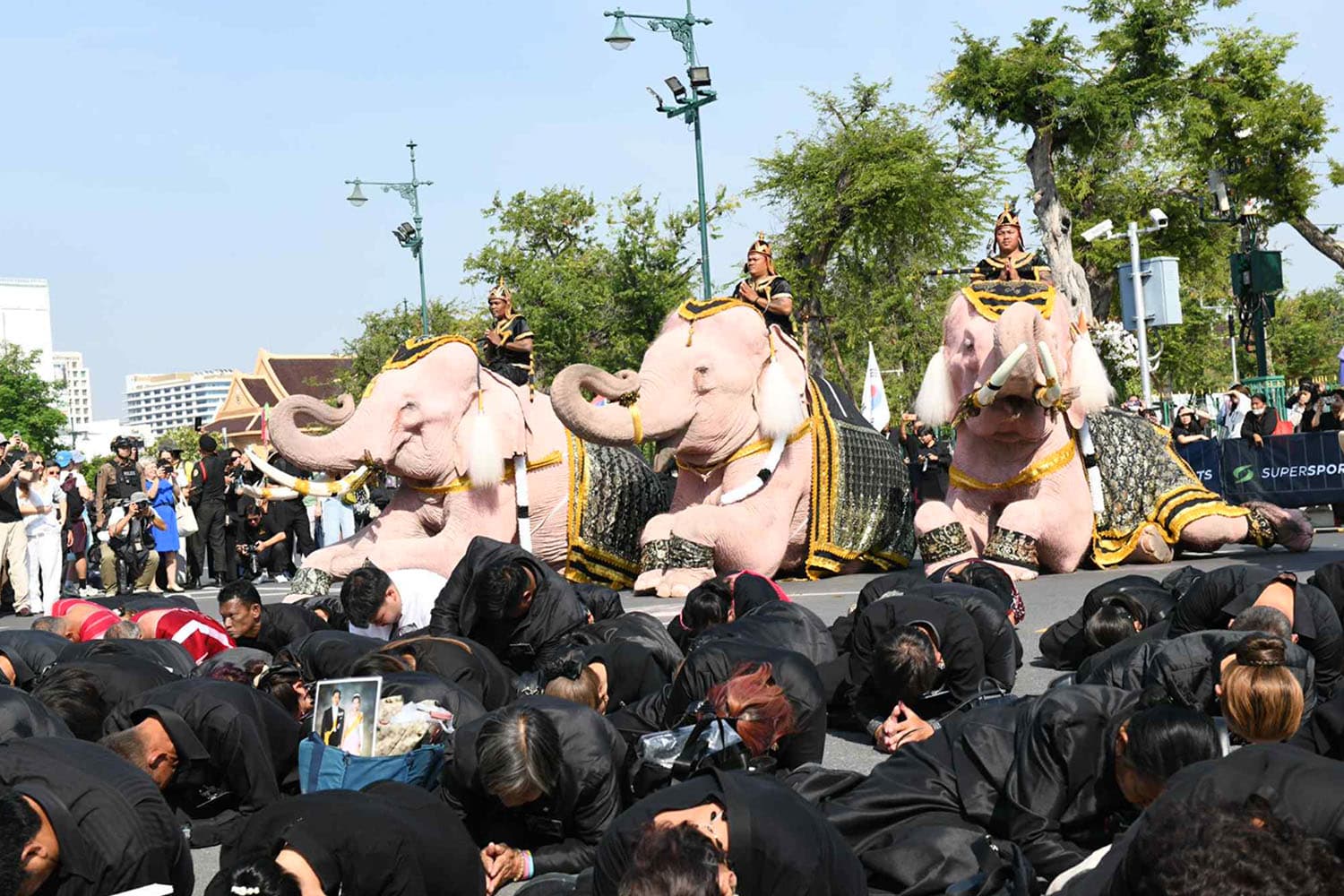 ขบวน ‘คชสารคู่แผ่นดิน’ 11 เชือก กราบถวายบังคมพระบรมศพ ‘สมเด็จพระพันปีหลวง’
