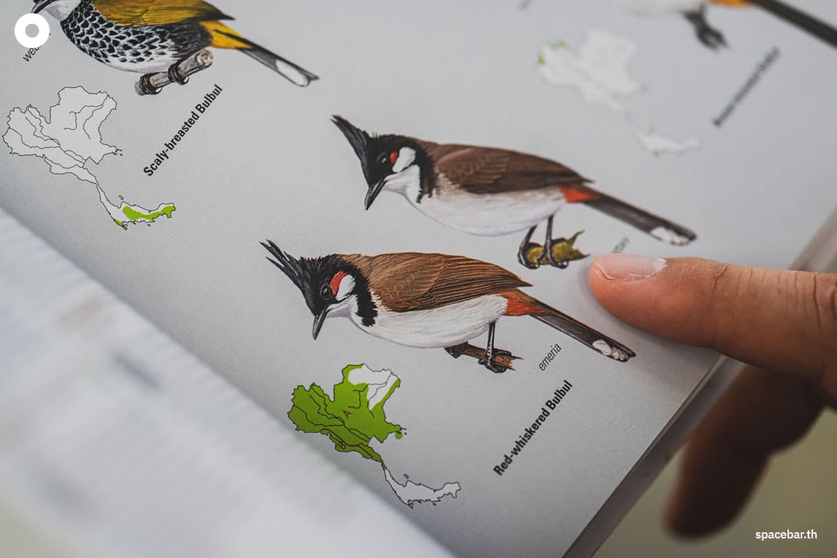 Scholars_oppose_the_law_red_whiskered_bulbul_SPACEBAR_Photo03_e1208d03ad.jpg