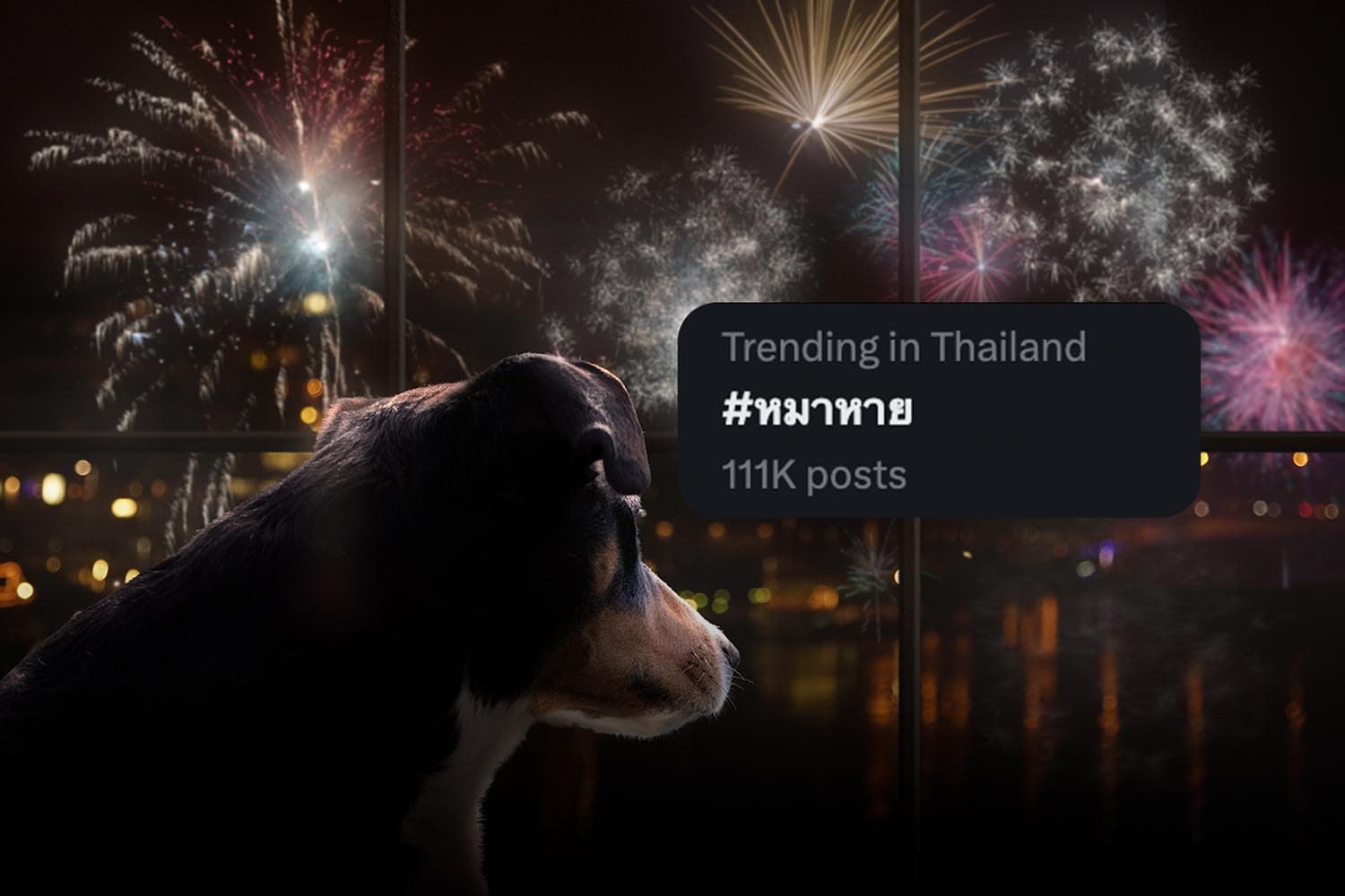 Social_Media_Users_Hashtag_lost_dogs_in_application_X_SPACEBAR_Hero_31b5a71cee.jpg