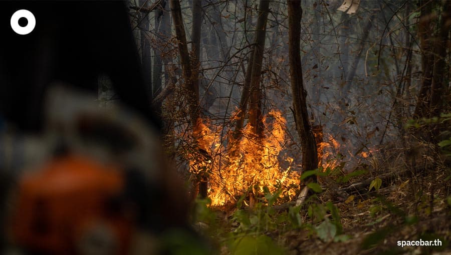 TAGCLOUD_documentary_hunting_forest_fire_2_SPACEBAR_Photo07_765a812f1a.jpeg