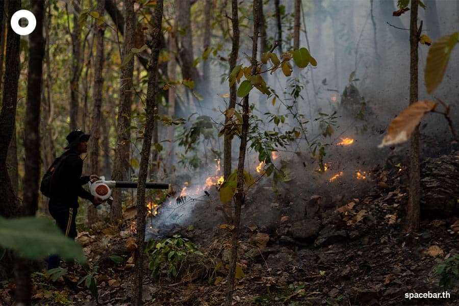 TAGCLOUD_documentary_hunting_forest_fire_2_SPACEBAR_Photo10_d56fa331da.jpeg