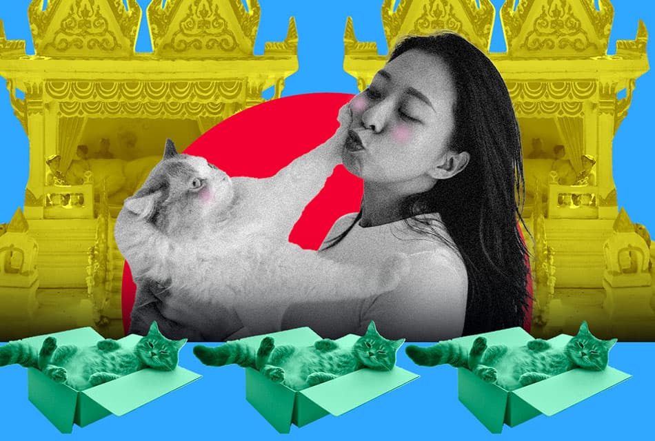 TAGCLOUD_thai_people_is_cat_slave_SPACEBAR_Thumbnail_78df97c361.jpeg