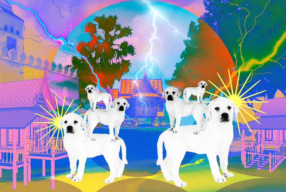 They_said_that_riding_dog_lightning_will_strike_SPACEBAR_Thumbnail_dfd4830c8b.jpeg