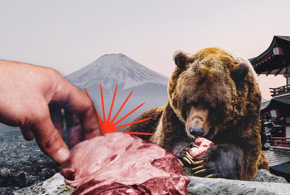 What_Does_Bear_Meat_Taste_Like_SPACEBAR_Thumbnail_32ace078b9.jpeg
