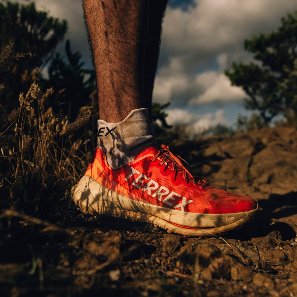 adidas_Terrex_agravic_speed_ultra_SPACEBAR_Photo_SQ_02_d503cd9c86.jpg