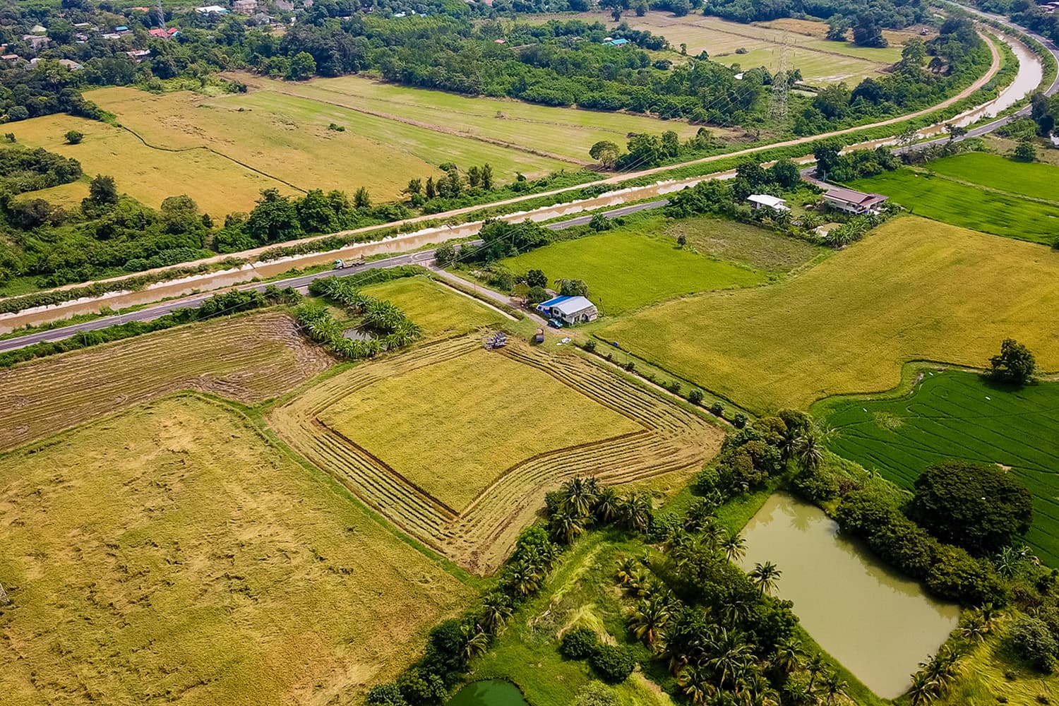 รัฐบาลดัน Agri-Map ปรับที่ดิน 1.18 ล้านไร่ เพิ่มรายได้เกษตรกรทั่วประเทศ