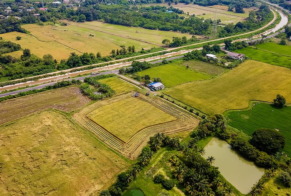 รัฐบาลดัน Agri-Map ปรับที่ดิน 1.18 ล้านไร่ เพิ่มรายได้เกษตรกรทั่วประเทศ