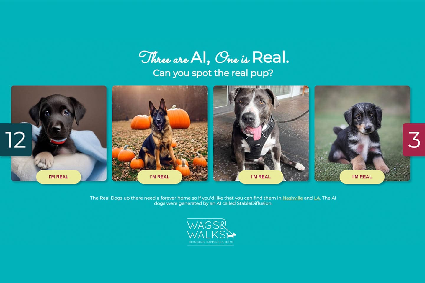 ai_dogs_wags_and_walks_SPACEBAR_Main_f183298b9b.jpeg