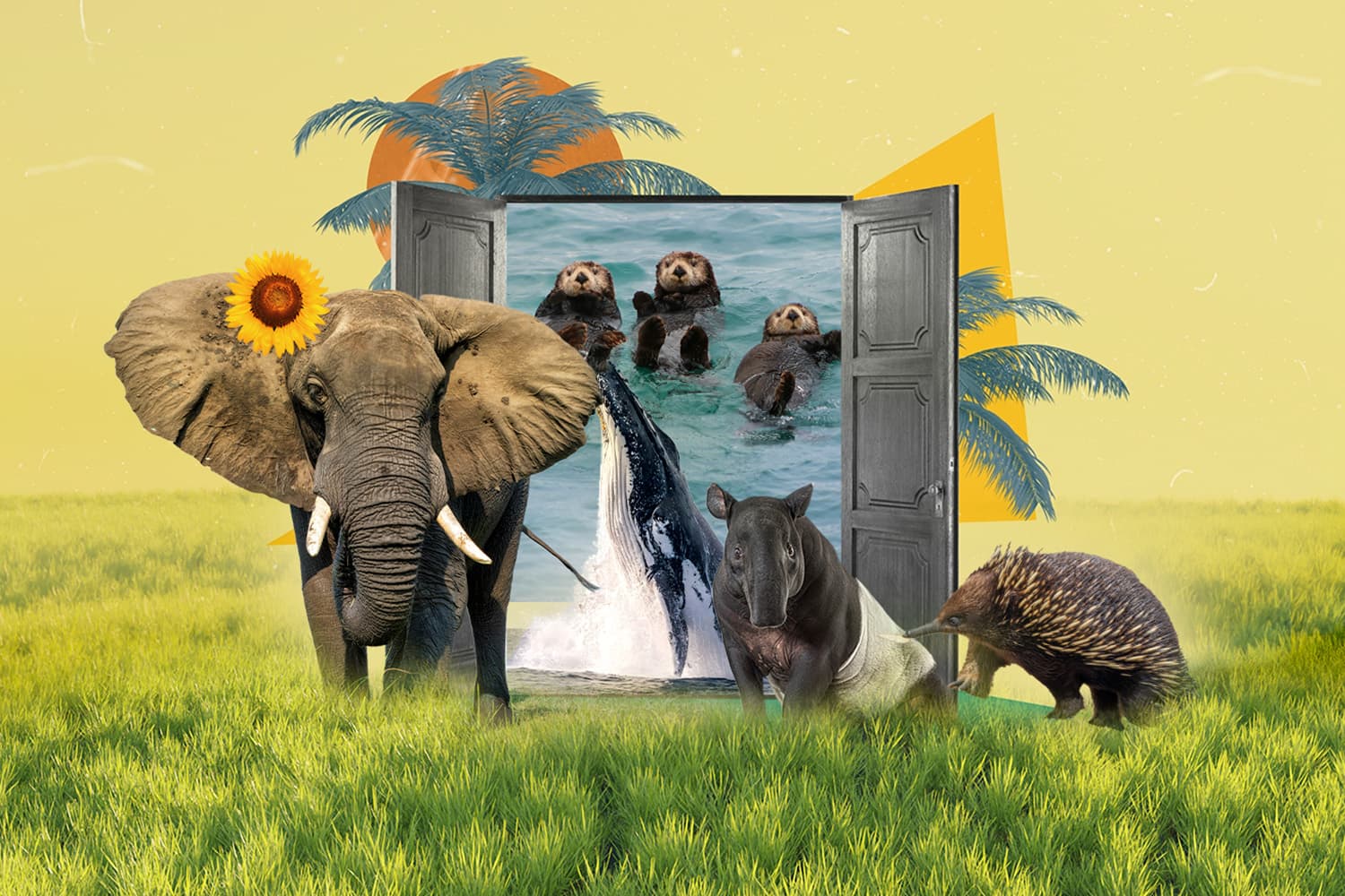 animals_can_help_fight_climate_change_SPACEBAR_Hero_799082351b.jpg