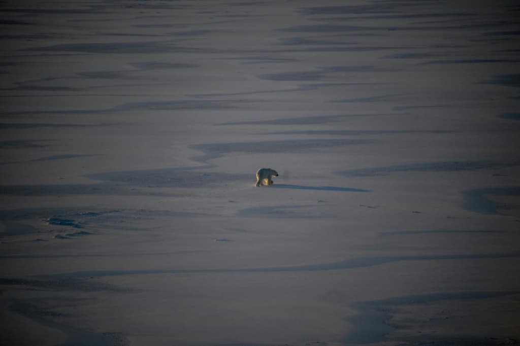 arctic-sea-ice-lowest-level-48-years-climate-change-impact-1.jpeg