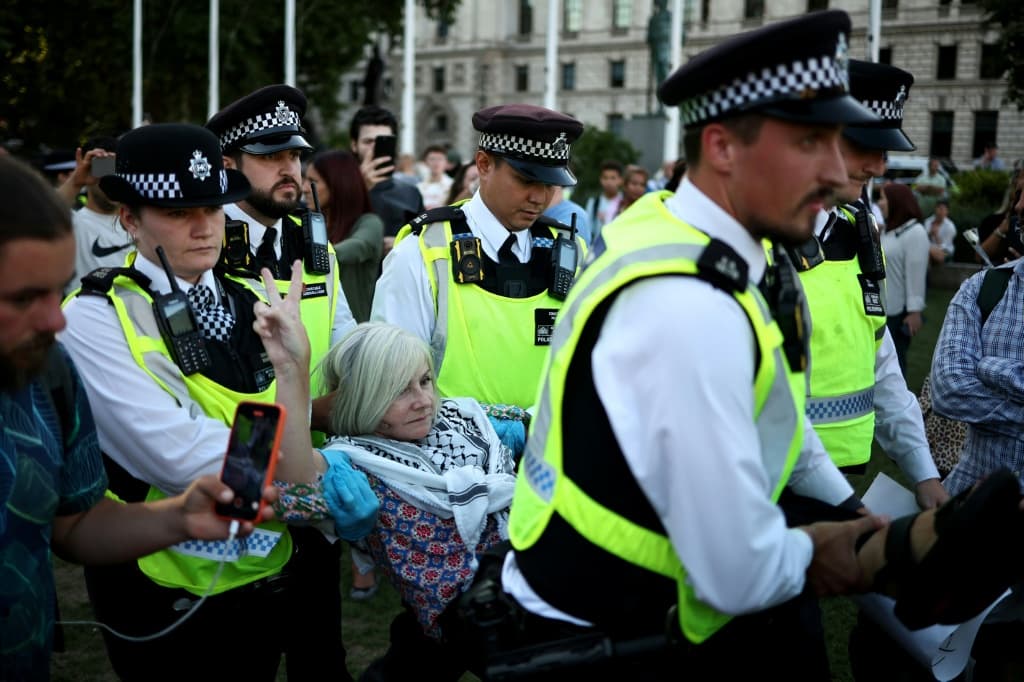 Police have arrested hundreds of people for showing support for the banned campaign group Palestine Action